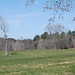 Burt Lewis Photo 8
