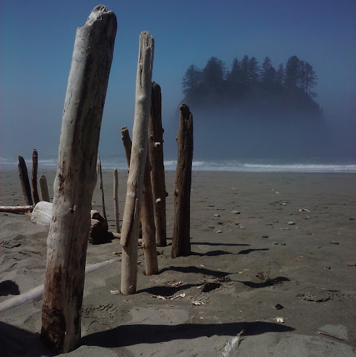 Julie Calkins Photo 15