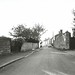 Deborah Holland Photo 19