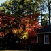 Stacey Weaver Photo 38
