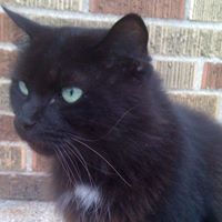 Tracie Reynolds Photo 28