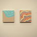 Steven Wise Photo 54