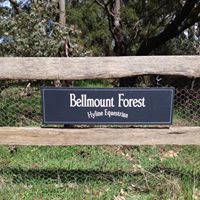 Pauline Richards Photo 20