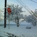 Jason Gonzalez Photo 31