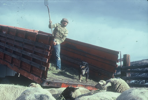 Ronald Moses Photo 16