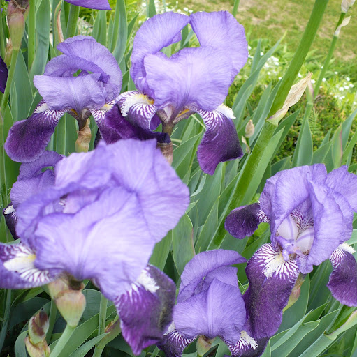 Sharon Kaiser Photo 38