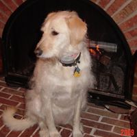 Janis Mcguire Photo 2