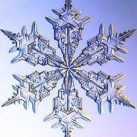 Marjorie Potter Photo 14