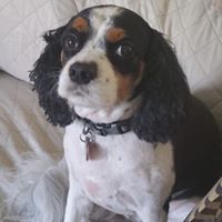 Vaughn Hall Photo 17