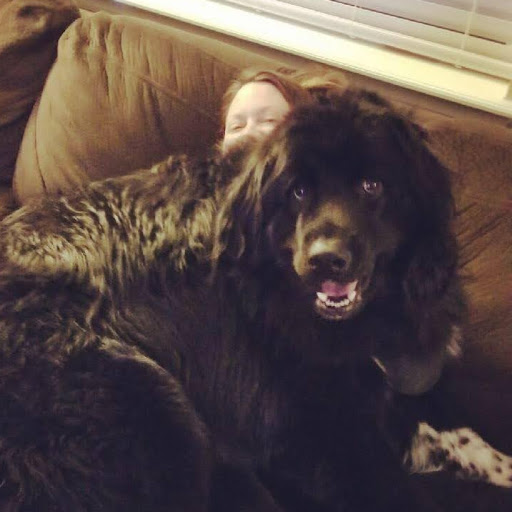 Sarah Shoemaker Photo 19