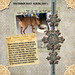 Dianne Rowe Photo 13