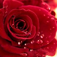 Isabel Salazar Photo 10