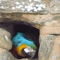 Rosalina Silva Photo 19