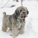 Kathleen Mccullough Photo 17