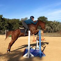 Tiffany Horton Photo 16