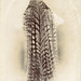 Hannah Sutherland Photo 30