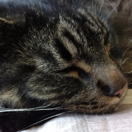 Karl Taylor Photo 43