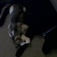 Jason Fowler Photo 42 Jason Fowler Photo 42