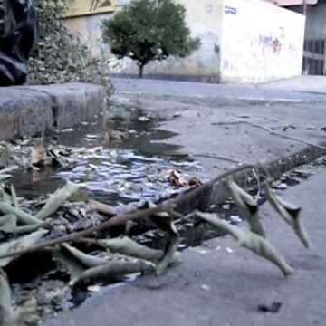 John Mcgill Photo 50