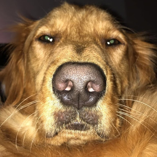 Elizabeth Plumb Photo 4