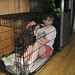 Vernon Kelly Photo 12