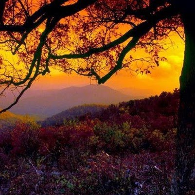 Jodi Gardner Photo 17