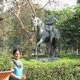 Shalini Verma Photo 10