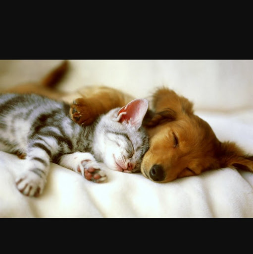 Tracy Pearce Photo 9