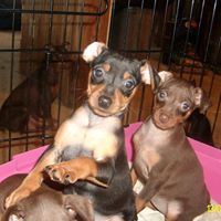 Brenda Webber Photo 27