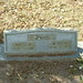 Hallie Davis Photo 38