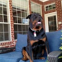 Charles Mchenry Photo 27