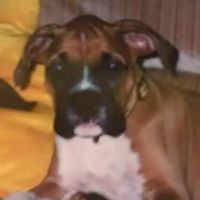 Stephanie Sill Photo 6