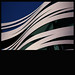 David Sakamoto Photo 8