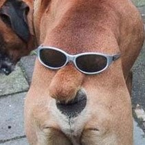 Jared Huffman Photo 24 Jared Huffman Photo 24