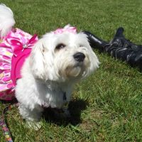 Gayle Armstrong Photo 16