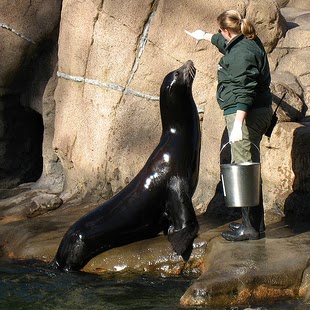 Jennifer Loveless Photo 6