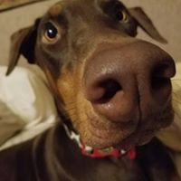 Morgan Hall Photo 23