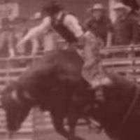 Curtis Rhoades Photo 3