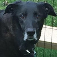 Mary Perlman Photo 14