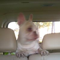 Richard Stith Photo 15 Richard Stith Photo 15