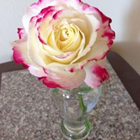 Angela Lind Photo 16