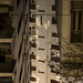Sam Lowry Photo 34