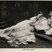 Margaret Ashe Photo 24