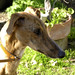 Maria Resto Photo 32