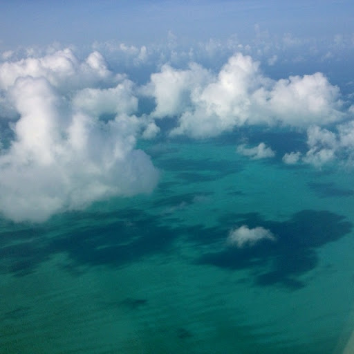 Bruce Dunbar Photo 23