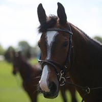 Julia Mulligan Photo 20