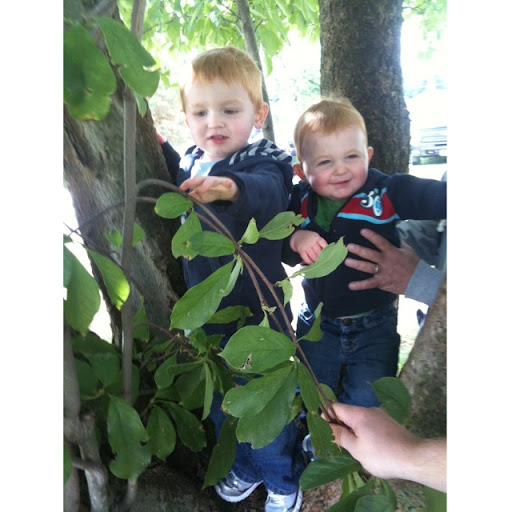 Nancy Simpson Photo 28