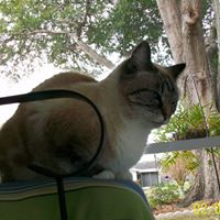 Marilyn Sparks Photo 31