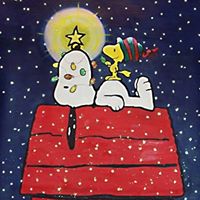 Wendy Quinn Photo 18