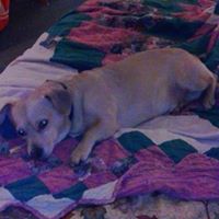 Pam Shepard Photo 27